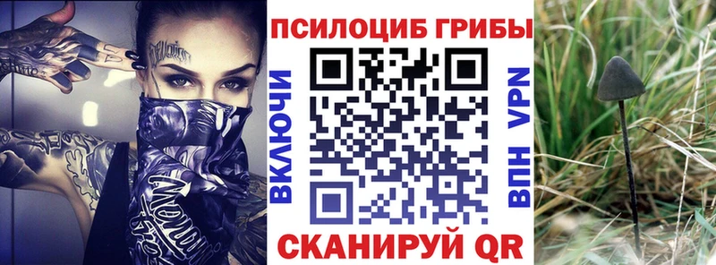 Псилоцибиновые грибы Psilocybine cubensis  Мещовск 